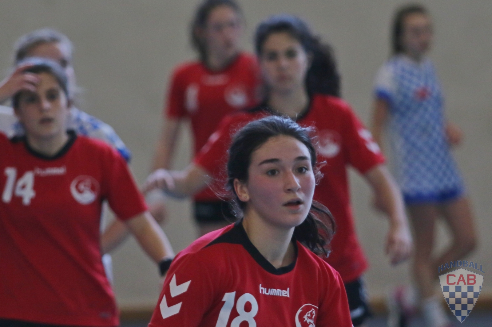 20170205_18F2_36.jpg