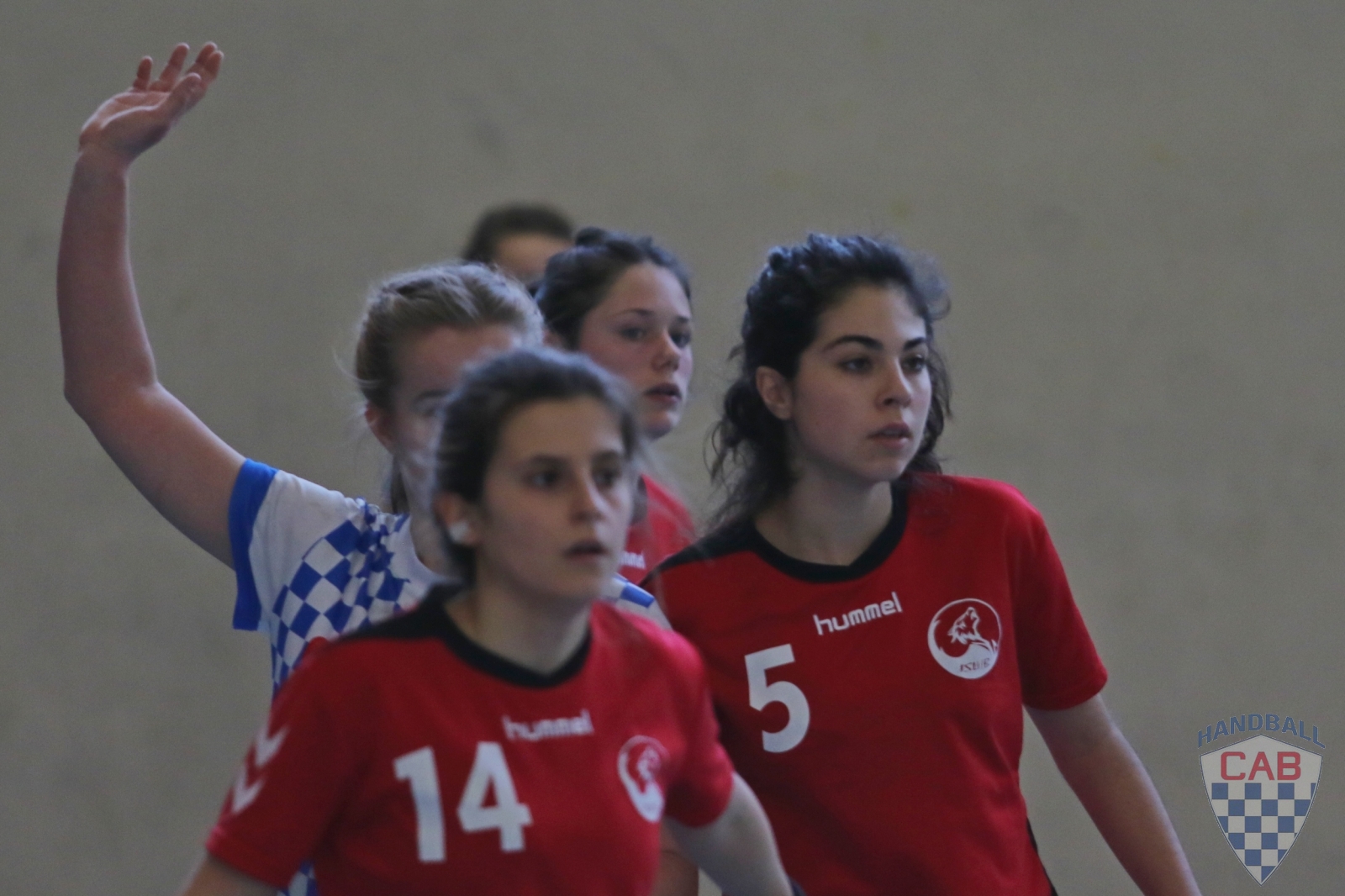 20170205_18F2_37.jpg