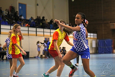 20190112_CAB_FormacupF_518_w.jpg 20190112_CAB_FormacupF_518_w.jpg
